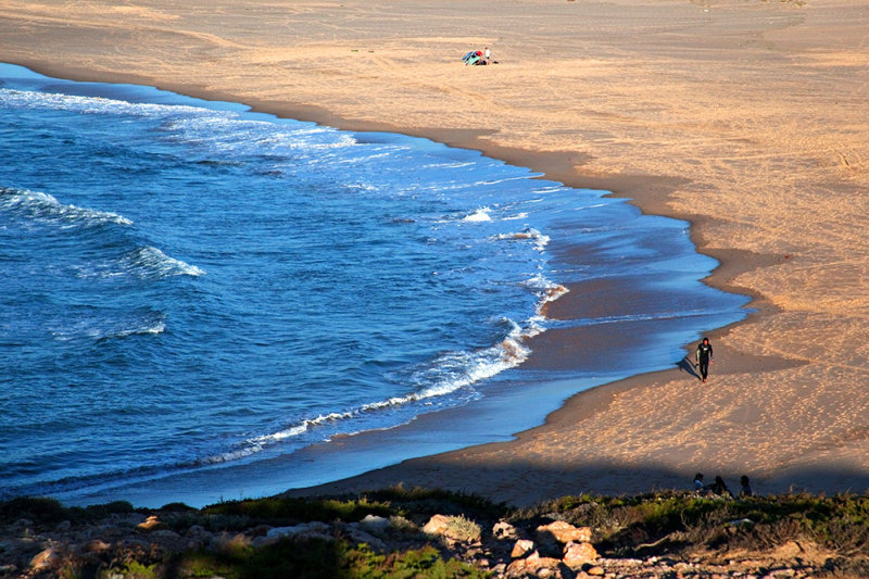 Surfer's Return