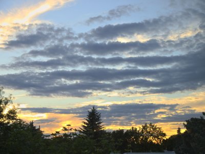 Backyard sunset