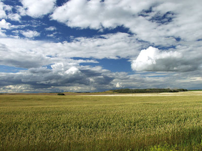 Skyscape #23