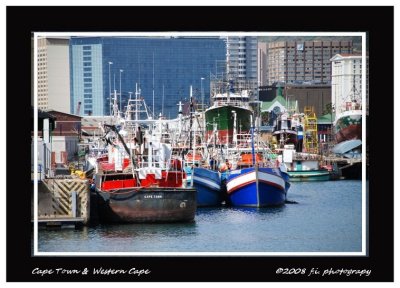 DSC_0030b.jpg