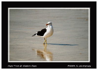 DSC_0207b.jpg