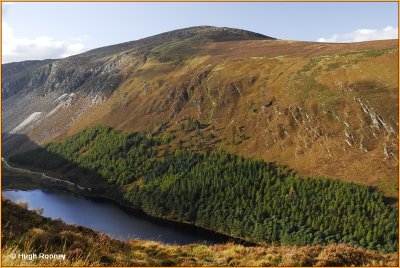  IRELAND - CO.WICKLOW - VIEW WEST FROM THE SPINK TRAIL