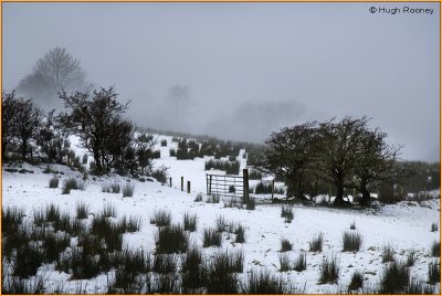 IRELAND - CO.SLIGO - WINTER FOG AND SNOW ABOVE GLENCAR LAKE