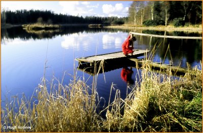 IRELAND - MONAGHAN - ROSSMORE FOREST PARK - PRIESTFIELD LAKE