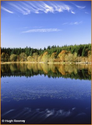  IRELAND - MONAGHAN - ROSSMORE FOREST PARK - ARDAGHY LOUGH