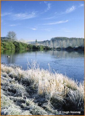  IRELAND - MONAGHAN - ROSSMORE FOREST PARK - CASTLE LAKE 