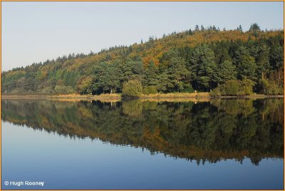  IRELAND - CO.MONAGHAN - AUTUMN AT LOUGH MUCKNO - CASTLEBLAYNEY