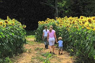 Visitors Buttonwood Farm