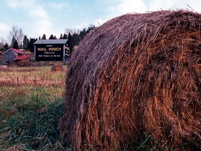 Harvest Time