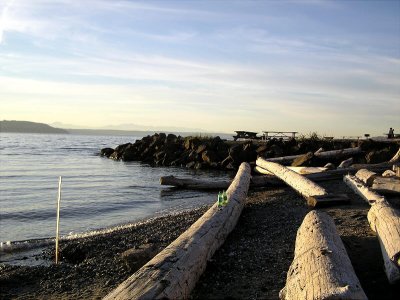 Saltwater State Park in Kent, WA