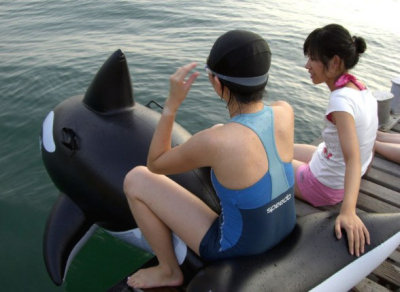 little whale
