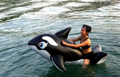 little whale