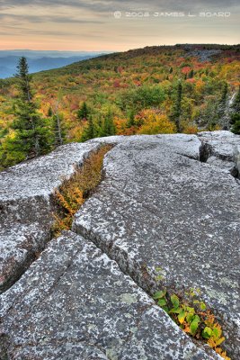 Dolly Sods Wilderness