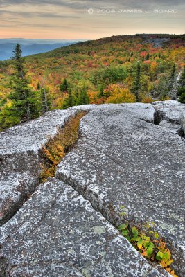 Autumn View (HDR)