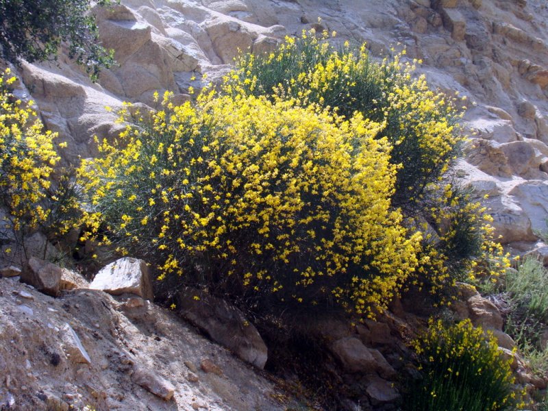 DSC00031.JPG