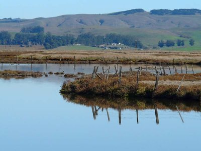 Still Waters