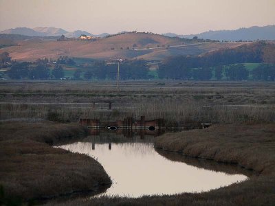 Early Evening Reflections