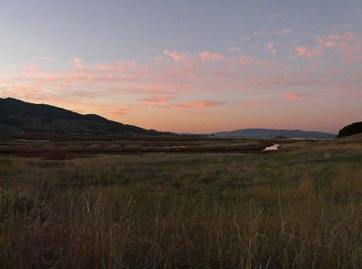 Pastel Sky & Grasses