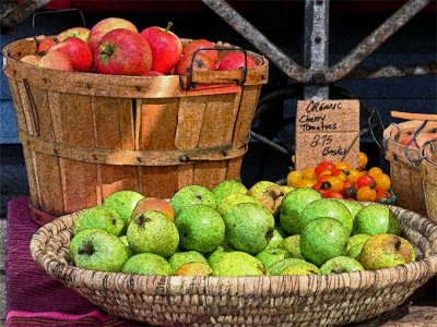 Apples al Fresco