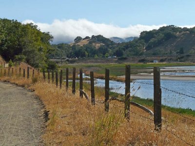 Rush Creek and Fog