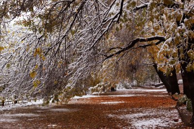 4_Seasons_Beijing