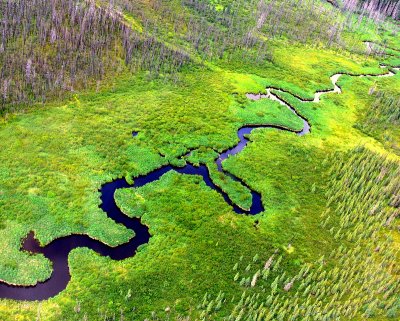 YET ANOTHER MEANDERING STREAM.JPG