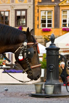 Warsaw Old Town.jpg