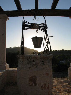 IMG_6871.jpg