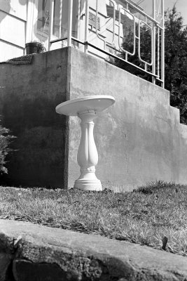 birdbath-2.jpg