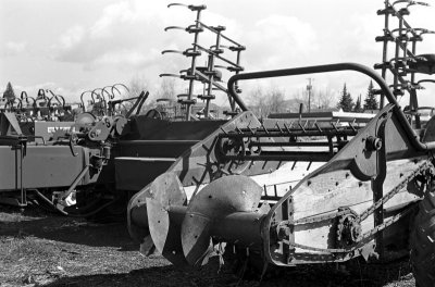 farming-4.jpg