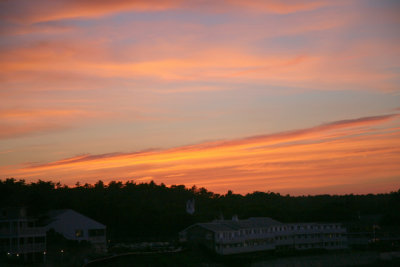 IMG_3228.jpg