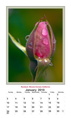 2010 Portrait Calendar - January