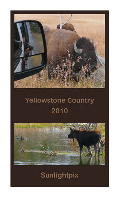 2010 Portrait Calendar - Yellowstone Country - Front Cover