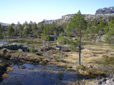 Stora Sjfallet-Vietas