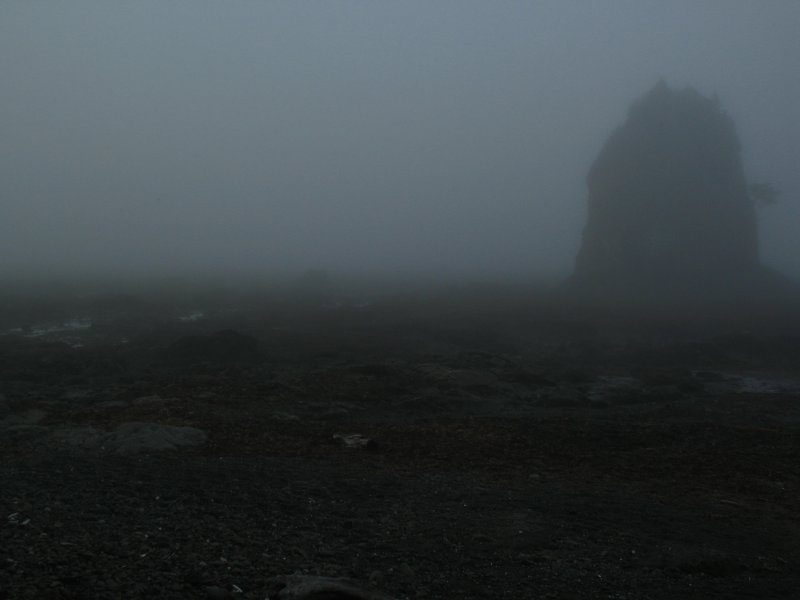foggy beach.jpg