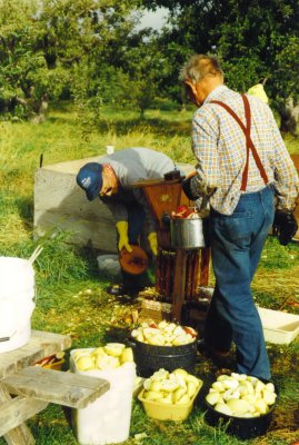 feeding the press.jpg