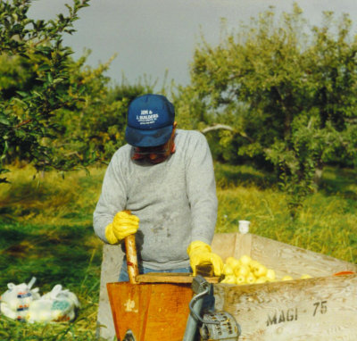 grandpa george kneads the mash.jpg