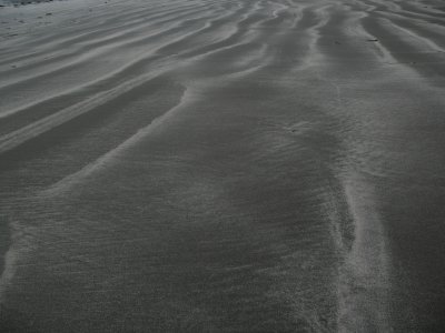 sand ripples.jpg
