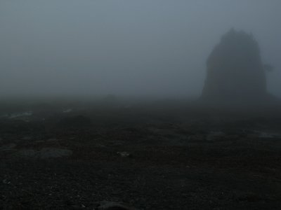 foggy beach.jpg