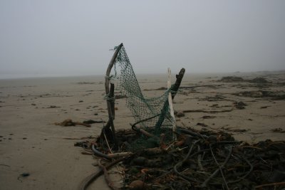 beach debris.jpg
