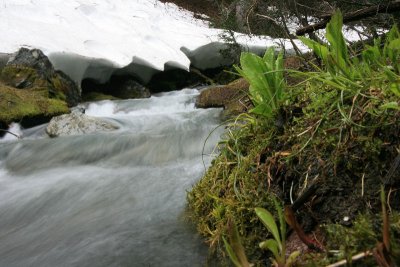 Snow Lingers at the Headwaters of the Entiat