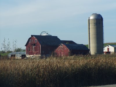 barn and corn field