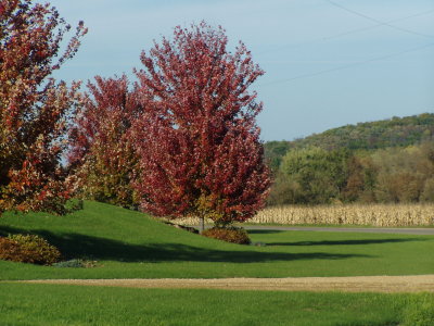 fall colors