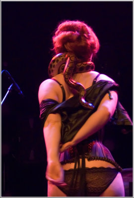 Burlesque Festival 2008 (1512).JPG