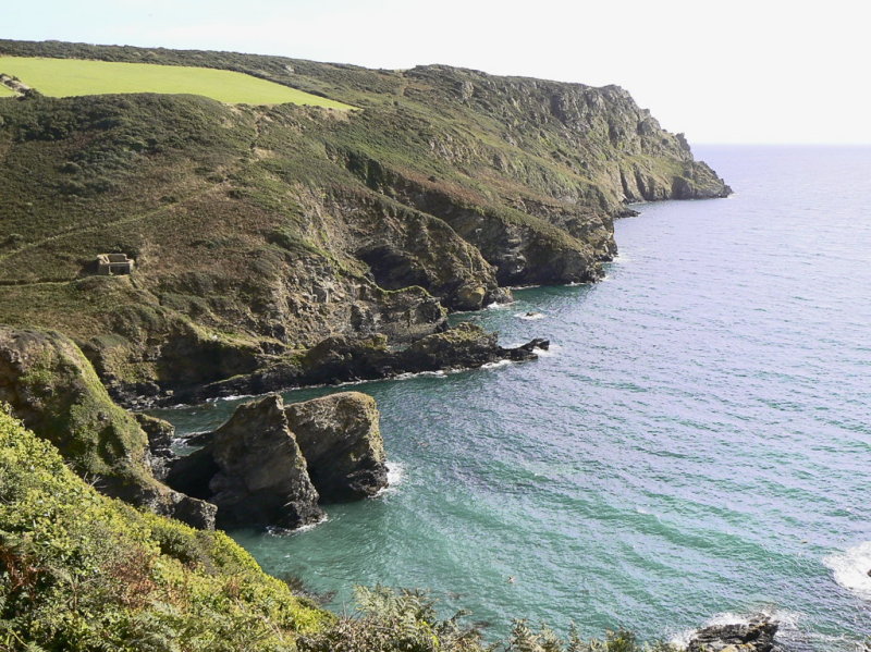 Pennarick, Malmanare & Shannick points leading to Nare head with cove below derelict cottage