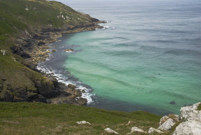 cove between Hor point & Pen Enys with porpoises