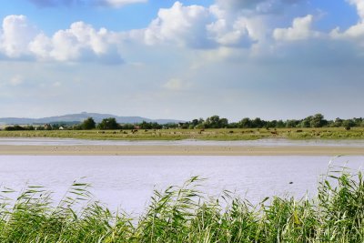 River Severn below Gloucester, May Hill behind