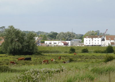 the tide mill from across the water meadows