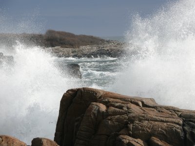 Surf 1 hi res