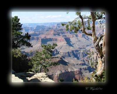 Grand Canyon IMG_0199a.jpg